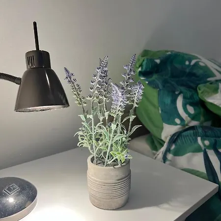 Meszlenyi Apartman I *